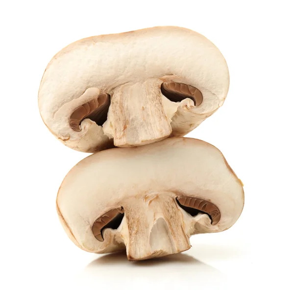 Witte champignons — Stockfoto