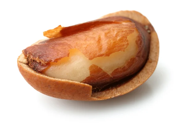 Сосновый орех — стоковое фото