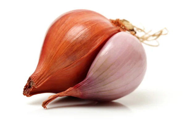 Small red onion — Stock Photo, Image