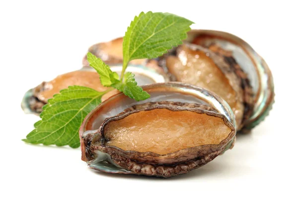 RAW abalones — стокове фото