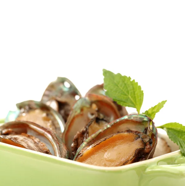Ham abalones — Stok fotoğraf