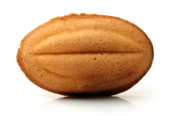 Ein Keks — Stockfoto