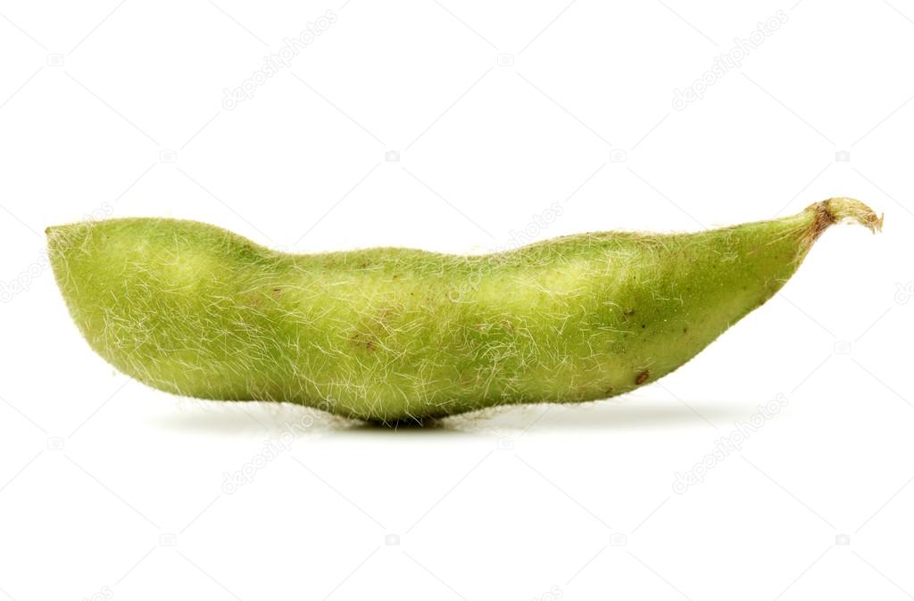 Green soy bean