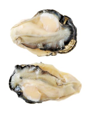 ham abalones