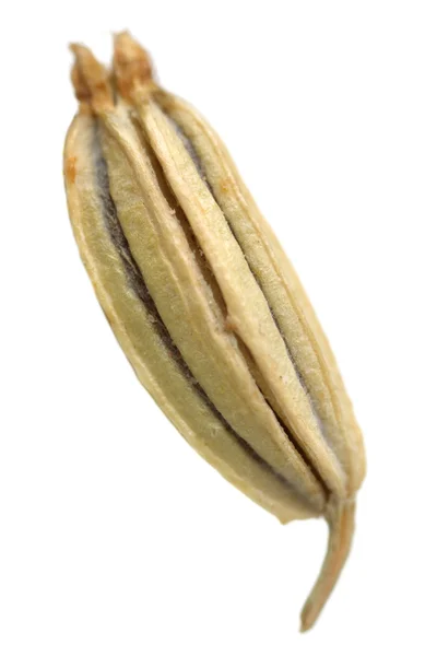 Nasion kopru — Zdjęcie stockowe