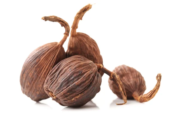 Black cardamom — Stock Photo, Image