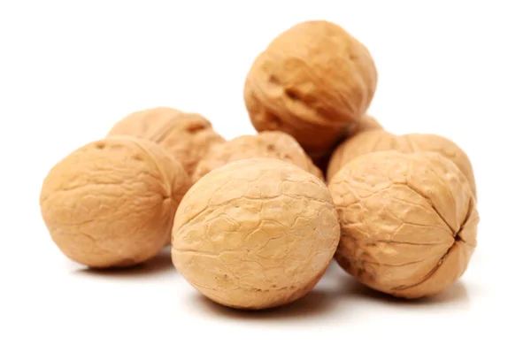 Walnut on white background — Stock Photo, Image