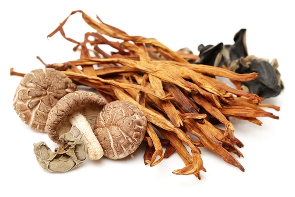 Torkade lily knoppar och shiitake — Stockfoto