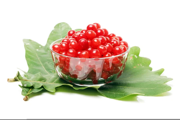 Cherries in bowl — Stock Photo, Image