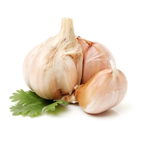 Fresh garlic — Stock Photo, Image