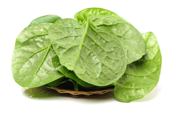 Fresh  spinach vegetable leaves — Stock Photo, Image