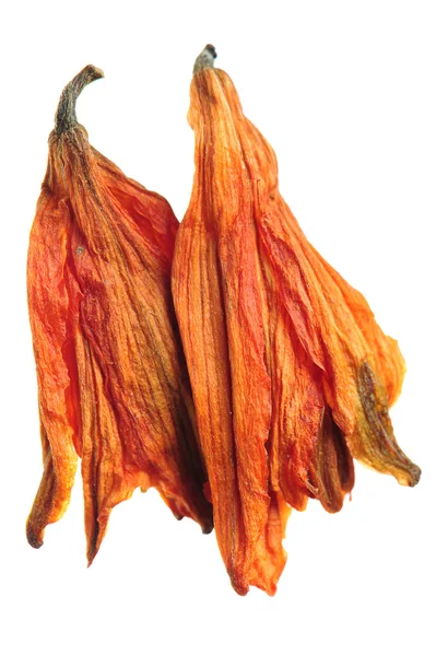 Dried lily tea — Stock Photo, Image