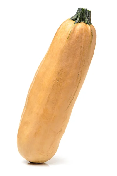 Färsk zucchini — Stockfoto