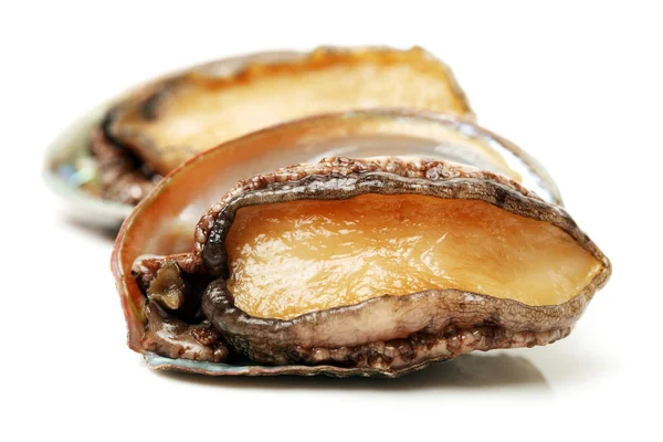 Ham abalone — Stok fotoğraf