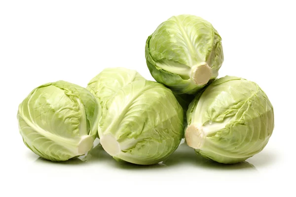 Fresh cabbage — Stock Photo, Image