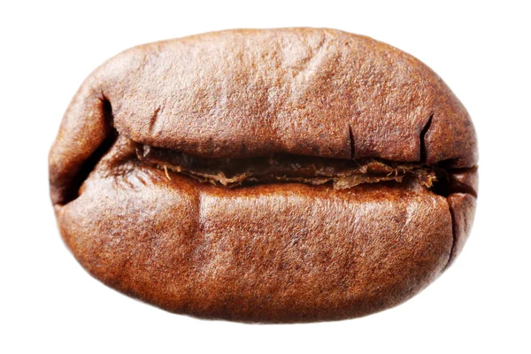 Coffee bean — Stock Photo, Image