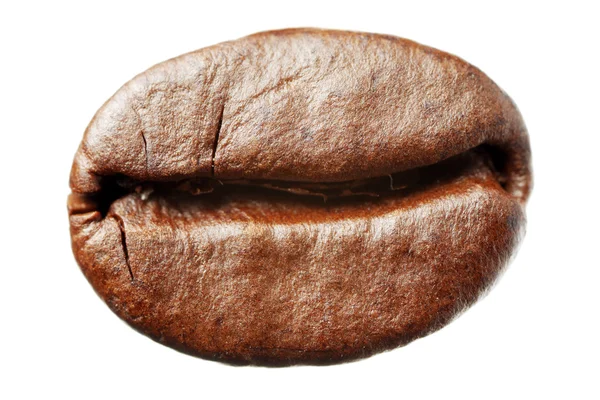 Coffee bean — Stock Photo, Image