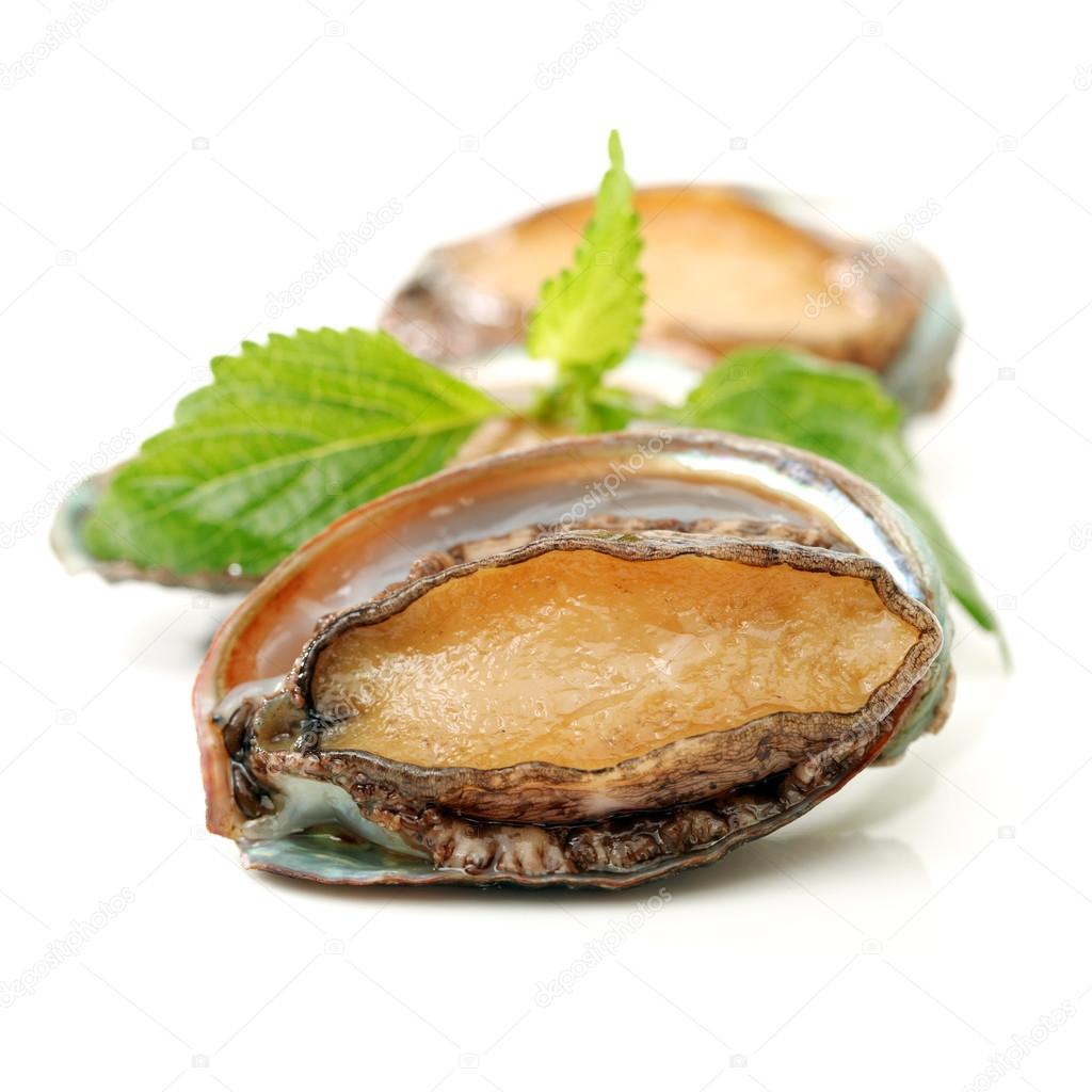 Raw abalone