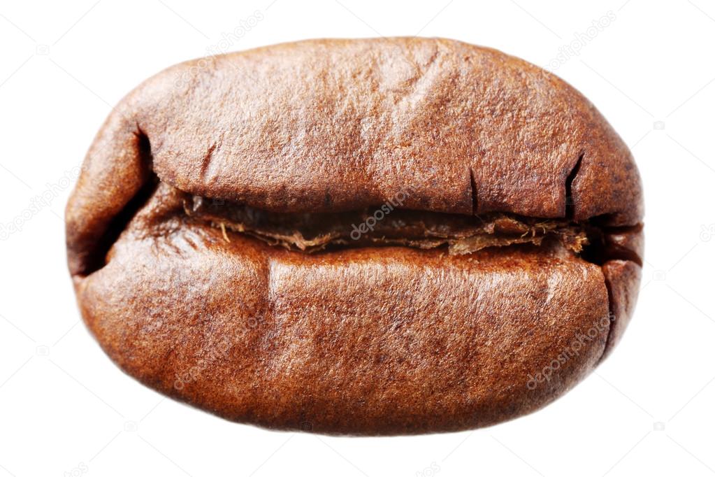 Coffee bean