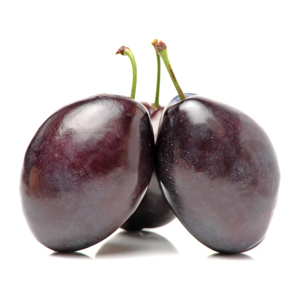 Świeże śliwki purpurowe — Zdjęcie stockowe