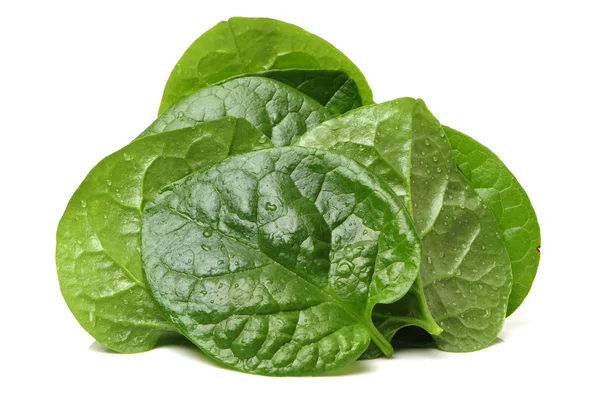 Fresh  spinach vegetable leaves — Stock Photo, Image