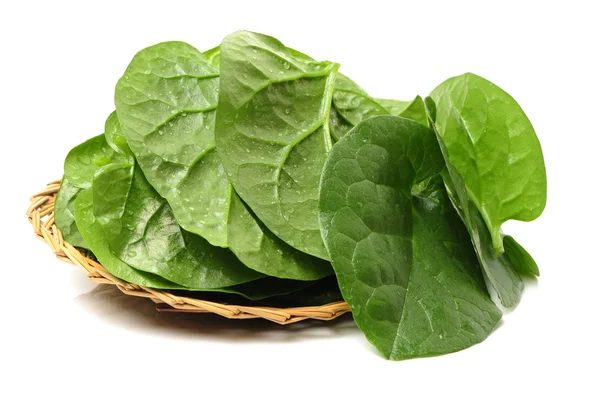 Fresh  spinach vegetable leaves — Stock Photo, Image