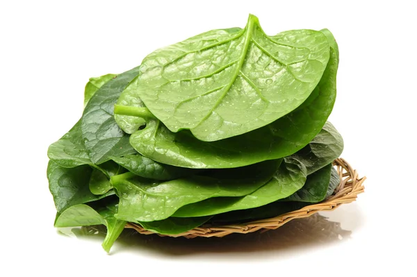 Fresh  spinach vegetable leaves — Stock Photo, Image