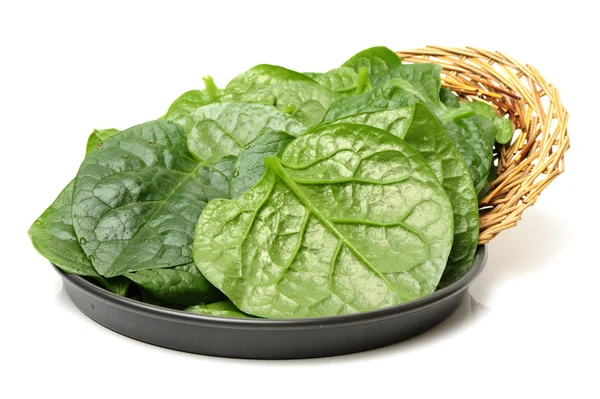 Vegetabiliska färsk bladspenat — Stockfoto