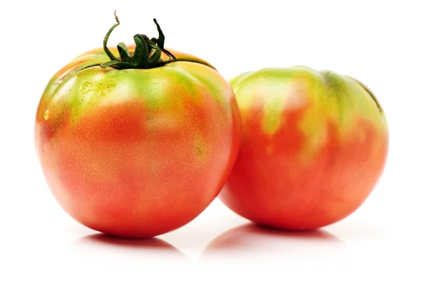 Fresh tomatoes — Stock Photo, Image