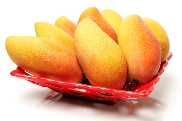 Vers mango — Stockfoto