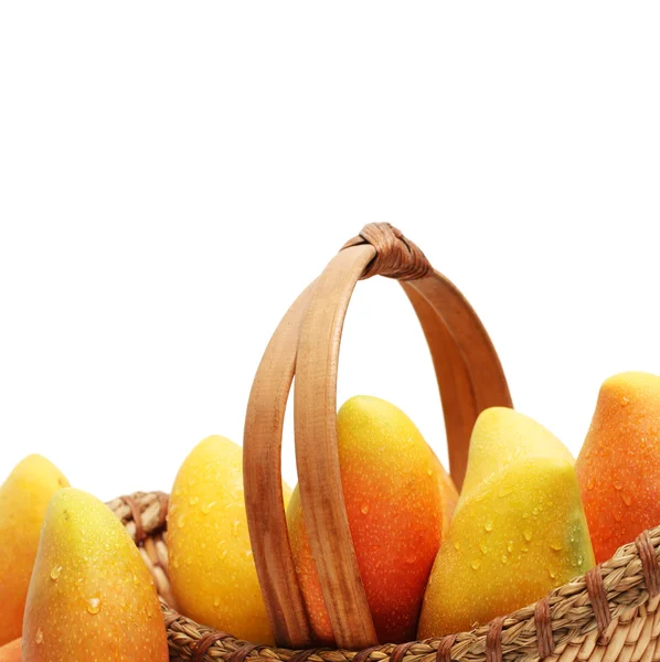 Fresh mango — Stock Photo, Image