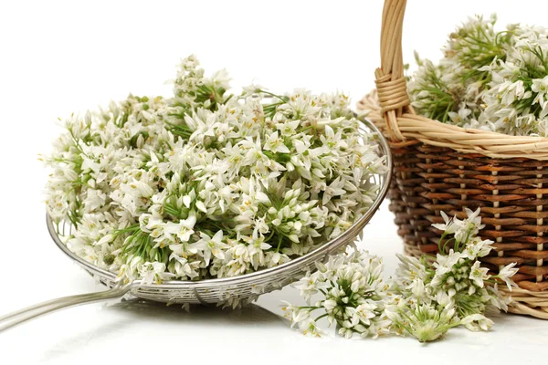 Leek Blossom — Stock Photo, Image