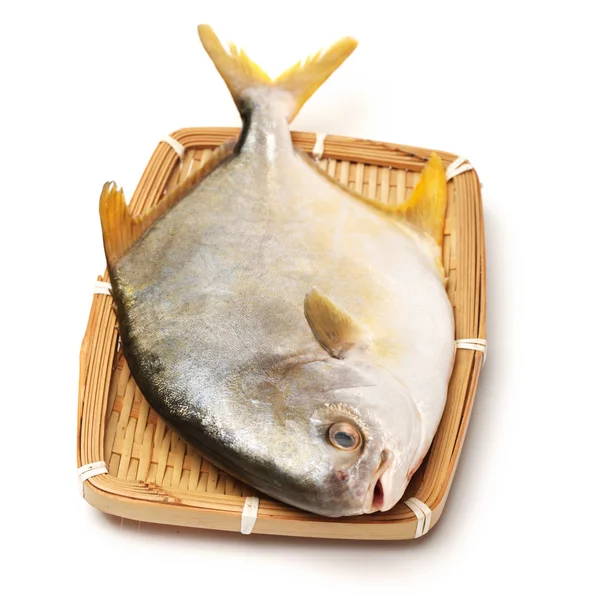 Fresh fish — Stock Photo, Image