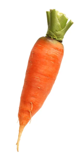 Свежая морковь — стоковое фото