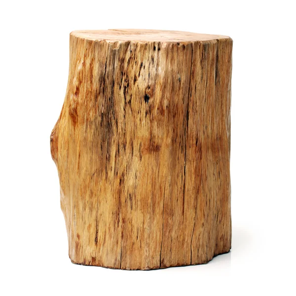 Log isolato — Foto Stock