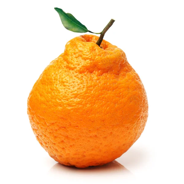 Orangenfrüchte — Stockfoto