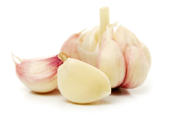 Frischer Knoblauch — Stockfoto