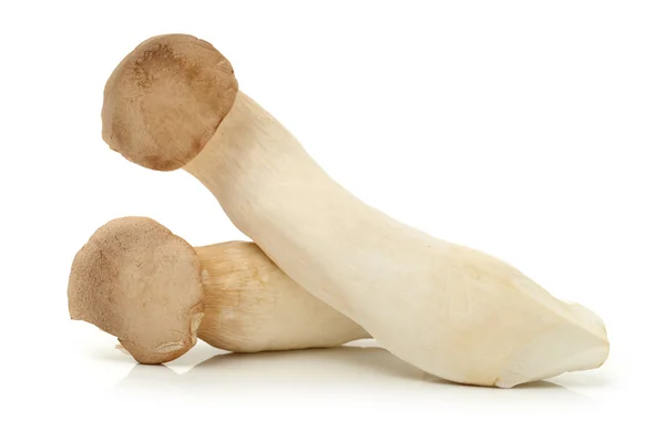 Tre funghi — Foto Stock