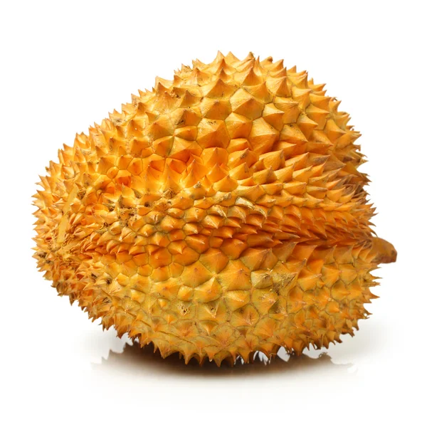 Durian fruit - Zuid-Oost-Azië — Stockfoto
