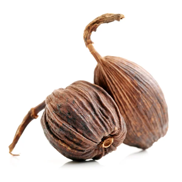 Black cardamom — Stock Photo, Image