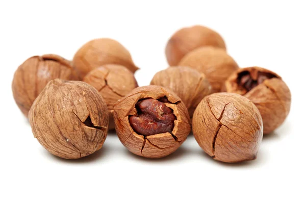 Shagbark hickory nuts — Stock Photo, Image