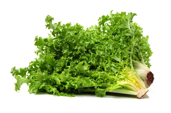 Lechuga verde — Foto de Stock