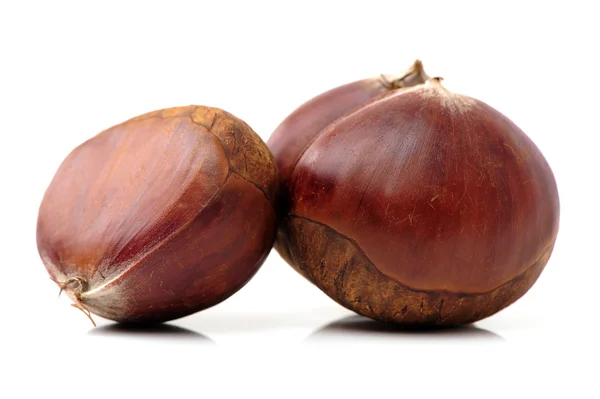 Sweet Chestnuts — Stock Photo, Image