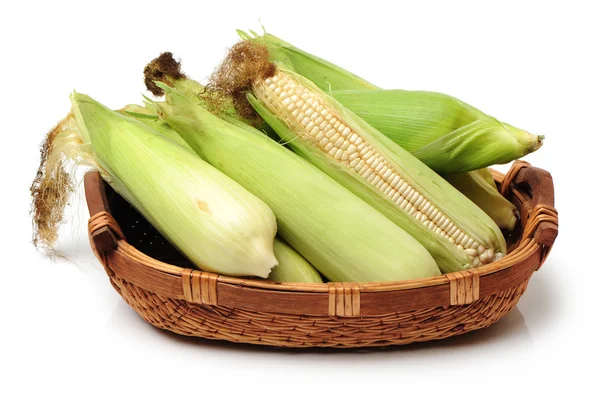 Corn in basket — Stock Photo, Image