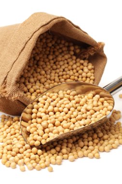 Soya fasulyesi dolu çuval