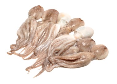 buğulanmış mürekkep