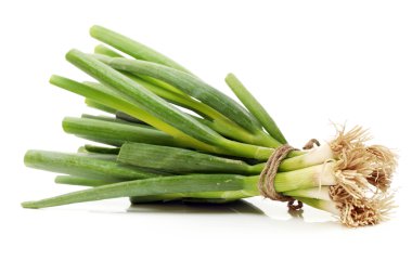 yeşil soğan