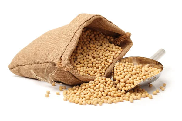 Sacco pieno di semi di soia — Foto Stock