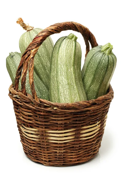 Färsk zucchini — Stockfoto