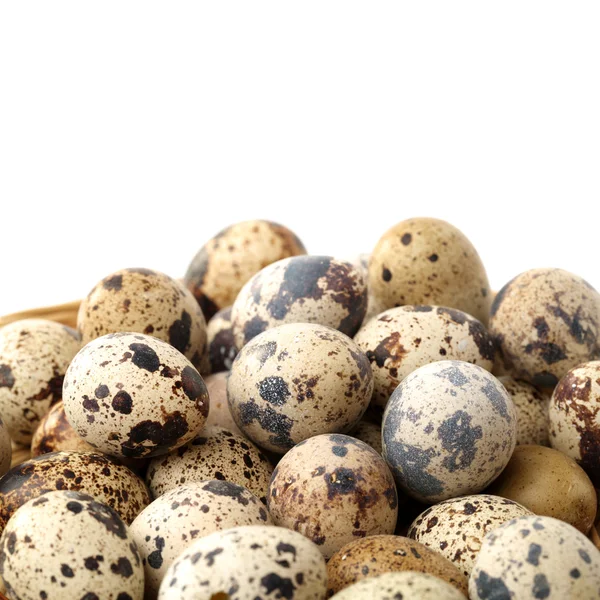 Fresh quial eggs — Stock fotografie